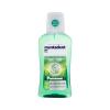 Mentadent Teeth and Gums Mint Collutorio 300 ml