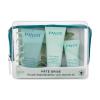 PAYOT Pâte Grise Anti Blemish Kit Pacco regalo gel detergente 50 ml + gel viso 30 ml + maschera viso 15 ml + borsetta