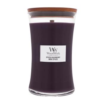 WOODWICK CANDELA GRANDE SAGEWOOD & SEAGRASS - PROFUMO DI CASA