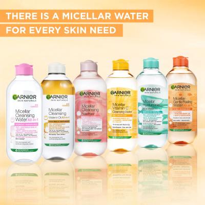 Garnier Skin Naturals Two-Phase Micellar Water All In One Acqua micellare donna 400 ml