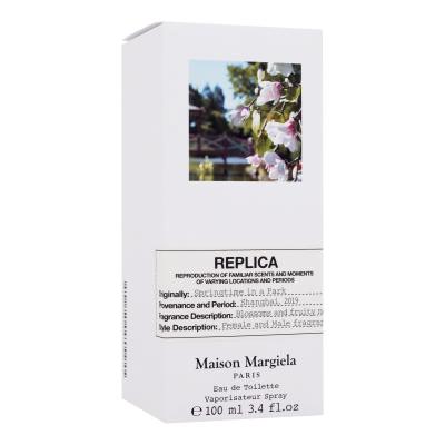 Maison Margiela Paris Replica Springtime in a Park Eau de Toilette 100 ml