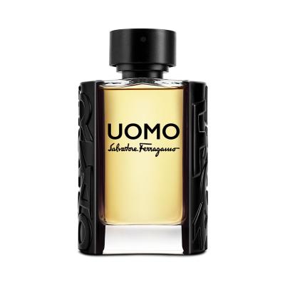 Ferragamo Uomo Eau de Toilette uomo 100 ml