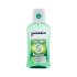 Mentadent Teeth and Gums Mint Collutorio 300 ml