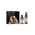 L'Oréal Professionnel Absolut Repair Molecular Glacial Utopia Limited Edition Pacco regalo shampoo Absolut Repair Molecular 300 ml + siero capelli Absolut Repair Molecular 250 ml