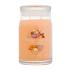 Yankee Candle Signature Mango Ice Cream Candela profumata 567 g