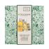 L'Occitane Almond (Amande) Body Care Gift Set Pacco regalo olio doccia Almond Shower Oil 250 ml + olio corpo Almond Supple Skin Oil 100 ml + crema mani Almond Delicious Hands 30 ml