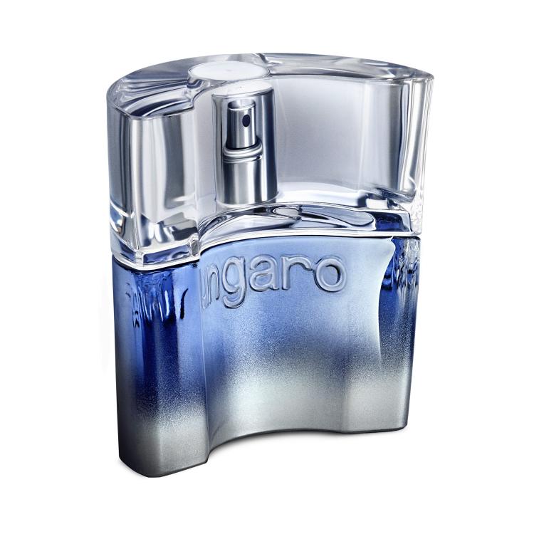 Emanuel Ungaro Ungaro Man Eau de Toilette uomo 30 ml