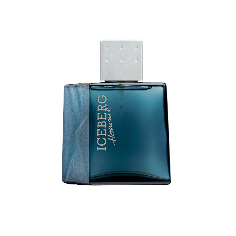 Iceberg Homme Eau de Toilette uomo 50 ml